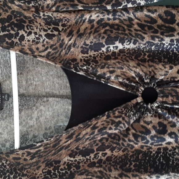 Leopard dress Size12 - Picture 2 of 5